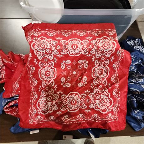 21 Bandanas  (18x18)