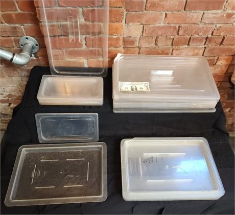 Asstd. Food Tub Lids (12x7) & Plastic Trays (13x21) - 29pcs (F)