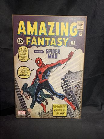 Amazing Fantasy Intoducing Spider Man