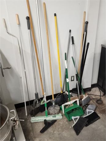 Assorted Janitorial Cleaning Tools (F)