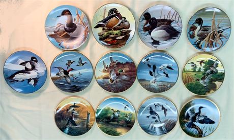 W.L. George American Waterbirds Set of 13 Fine China Plates