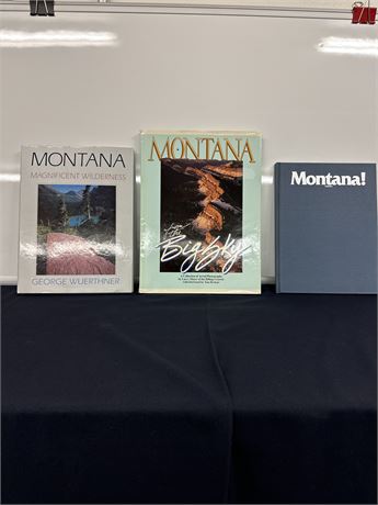 Montana books