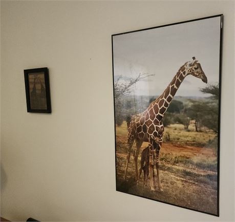 Framed Giraffe Print Pair..10x12-24x36