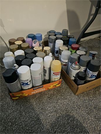 Assorted Spray Paints