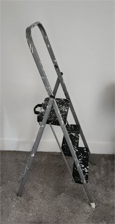 3' Step Ladder