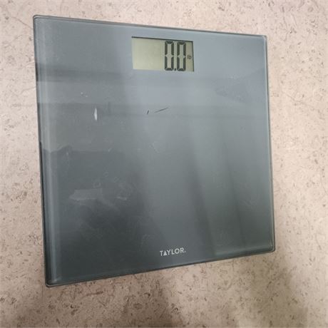 Taylor Digital Personal Scale