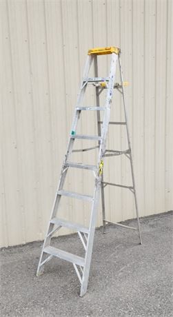 8ft Werner Step Ladder