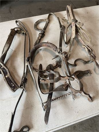 Hackamore..Spurs and Misc