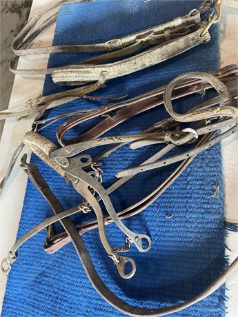 Hackamore Plus