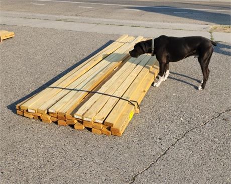 2x4x10' Pressure Treated Lumber - 33pc. (Bunk #7)