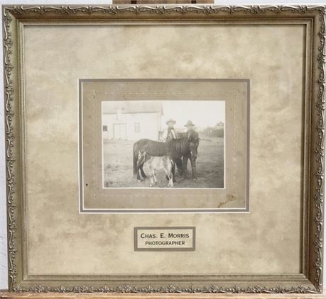 Chas. E. Morris: Mare & Foal Vintage Photograph taken near Havre, MT