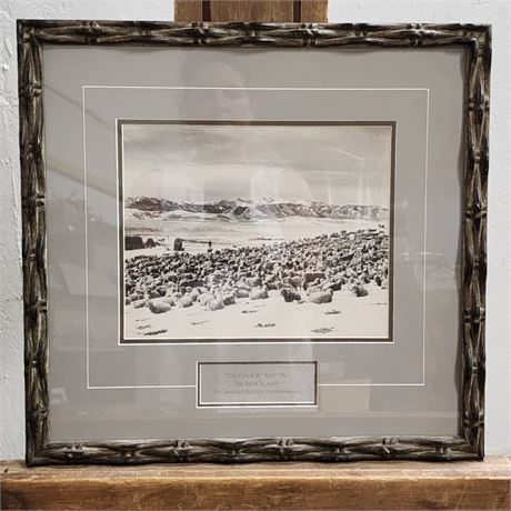 Charles J. Belden: The Flock at Rest on the Bed-Ground Vintage Photograph