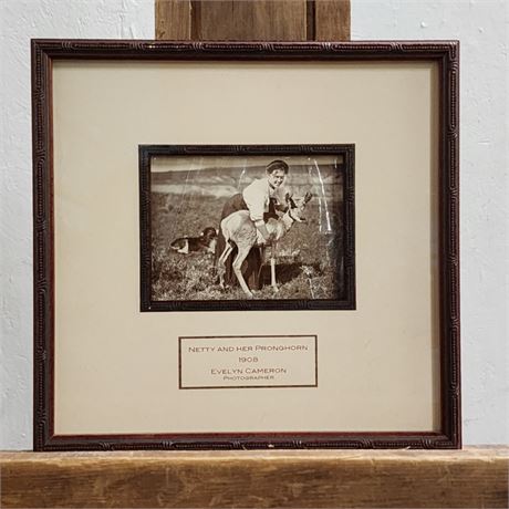 Evelyn Cameron: Netty and her Pronghorn 1908 Vintage Photograph - Fallon, MT