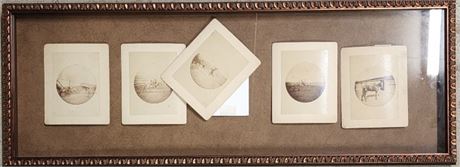 Nicely Framed 5 Vintage Photographs or Postcards