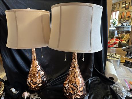 Set of 2 Amazing Copper Looking Lamps-they work