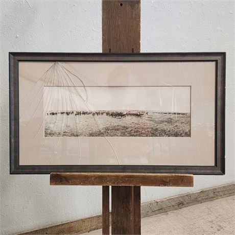 L.A. Huffman: Herd of Cattle Vintage Photograph (note broken glass)