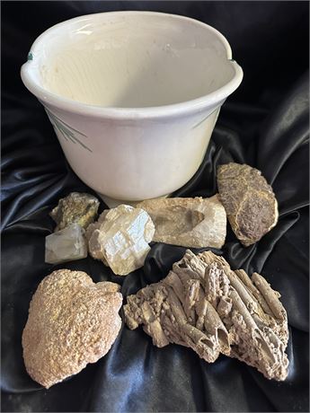 Bowl of Rocks and Fossils