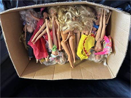 Big Box of Barbies