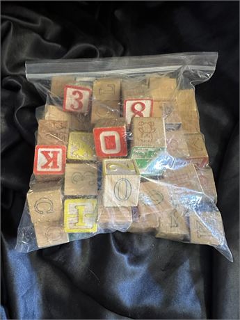 Bag Full of Vintage Blocks