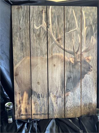 Wooden Elk Picture by Montana Mottly Photos