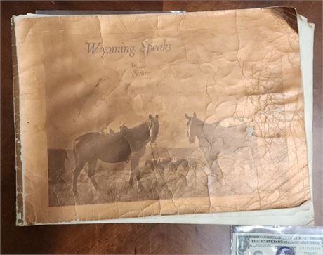 Wyoming Speaks by Pictures Vintage Book