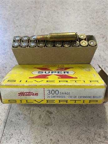 300 Savage Ammo