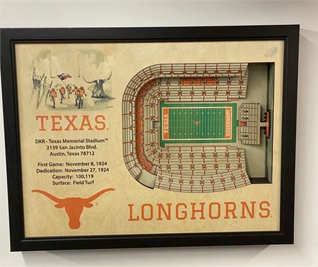 Texas Longhorn 3D Stadium Wall Art