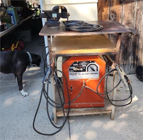 Lincoln AD/DC Arc Welder w/ Metal Fabrication Table (33x26x25) & 5" Bench Vise