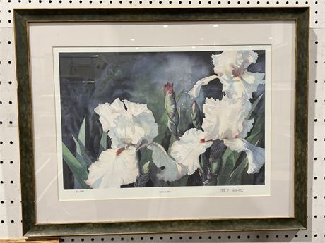 M.C. Walter “Salmon Iris” Framed Artwork