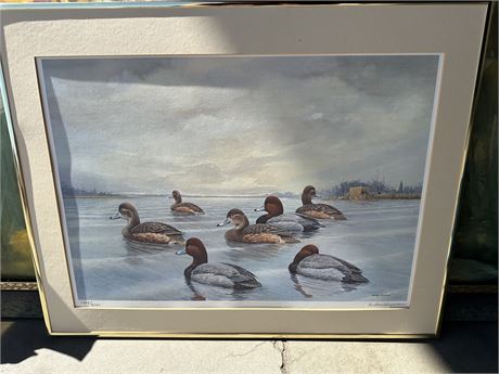 Andrew Kurzmann Sitting Duck Print 1559/3000