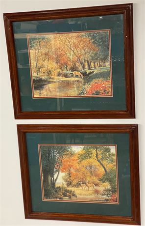 Vintage Deer Framed Paintings