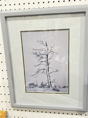 Nature Framed Art