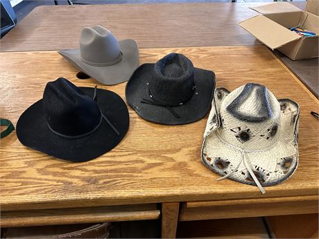 Lot of 4 Cowboy/Cowgirl hats