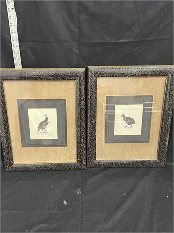 Set of Two Framed Quail Prints