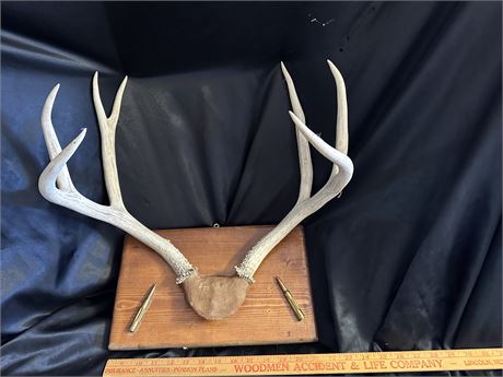 4 Point Deer Rack w/ Bullets-Very Unique Piece