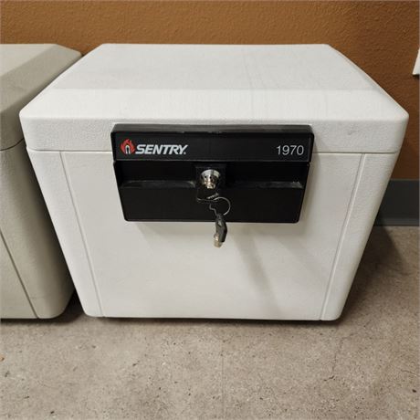 SentrySafe Fire-Safe Security File 1970 Lock box