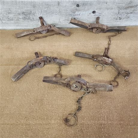 Antique Victor Traps