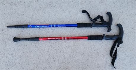 Adjustable Mountaineering Staff Pair