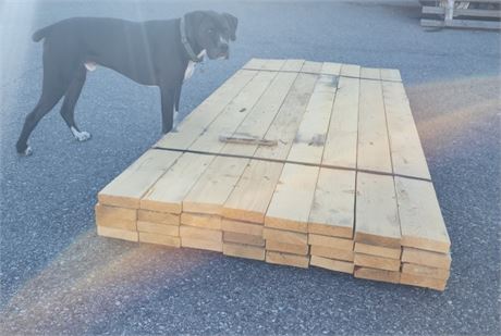 2x6x8' Lumber - 32pcs. (Bunk #29)