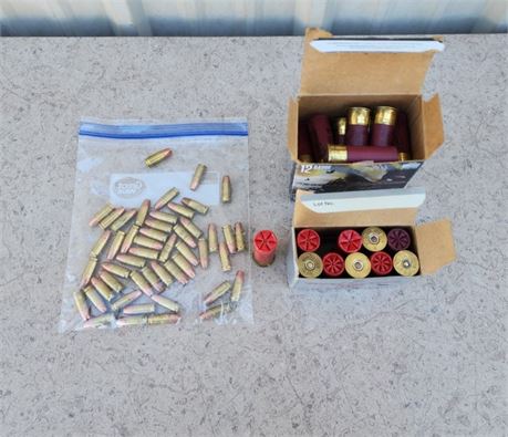 Assorted Ammo - 77rds.