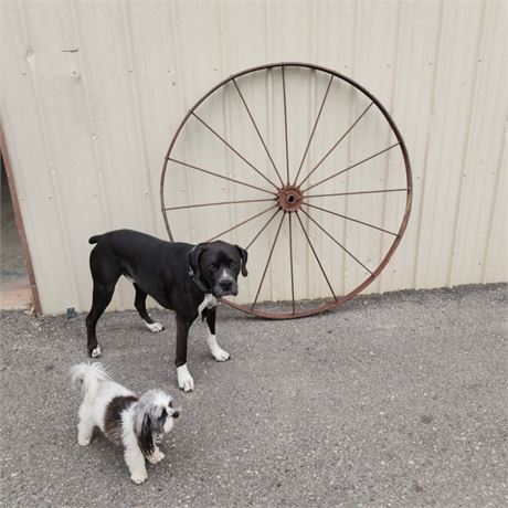 🛞Large Antique Wagon Wheel - 53" Diameter