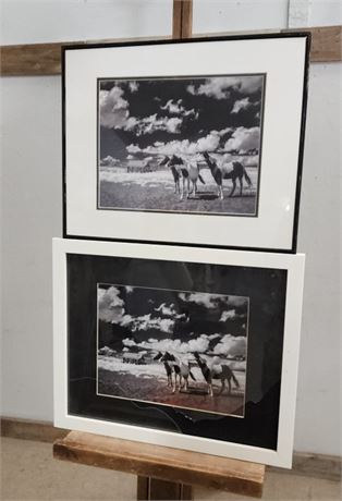 Framed Paint Pony Photo Print Pair - (one needs glass)