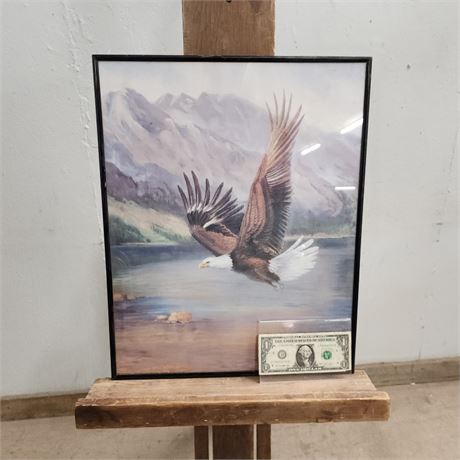 Framed Eagle Print - 16x20