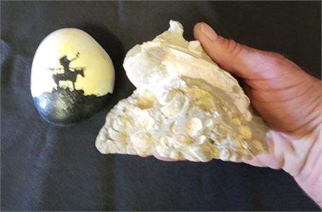 Rock & Fossil Artwork Pair