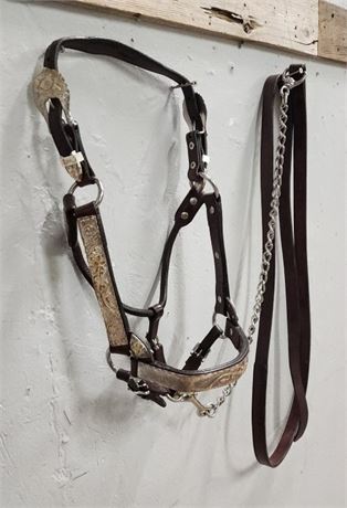 🐴Beautiful Leather & Silver Halter & Lead Rope