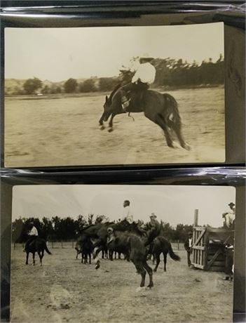 Rosebud County Fair Antique Photos Forsythe MT Postcards by DEAN