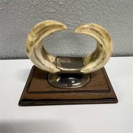 Vintage Wild Boar Teeth/Tusk Trophy on Wooden Plaque