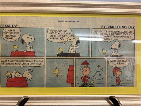 November 24, 1985 Peanuts comic strip by CHARLES SCHULZ