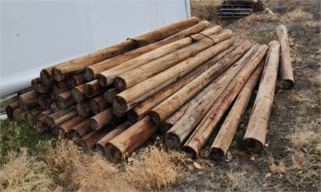 12' Treated Wood Posts - 8" Diameter - 43pc