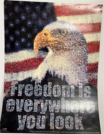 The American flag and a bald eagle freedom is everywhere you look